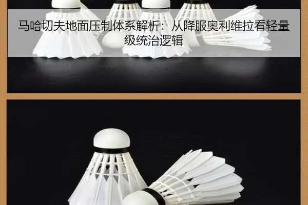 ma-ha-qie-fu-di-mian-ya-zhi-ti-xi-jie-xi-cong-xiang-fu-ao-li-wei-la-kan-qing-liang-ji-tong-zhi-luo-ji-1-634.jpg